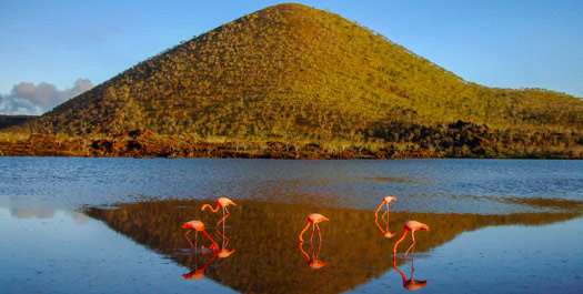 Cormorant Point & Post Office Bay