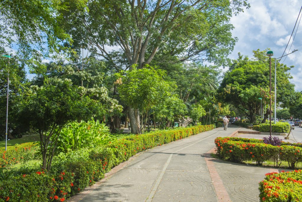Parque Simon Bolivar.