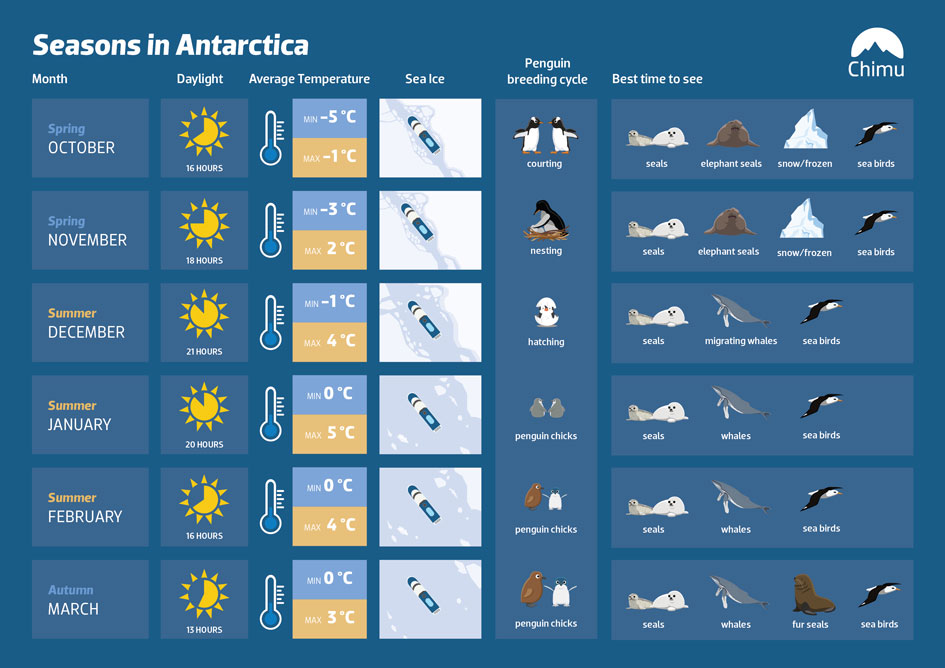 infographic explaining when to visit Antarctica