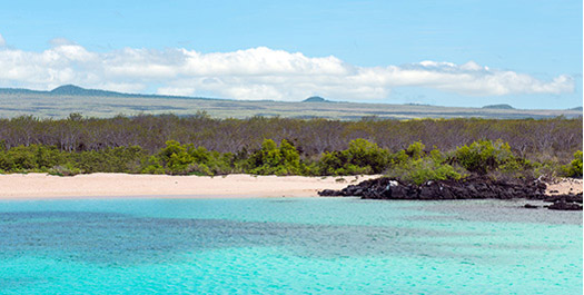 Isla North Seymour - Isla Santa Cruz