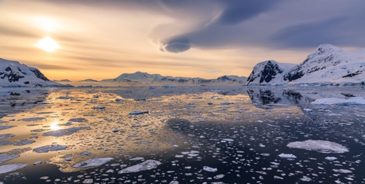 Explore Antarctica - Day 6 to 8