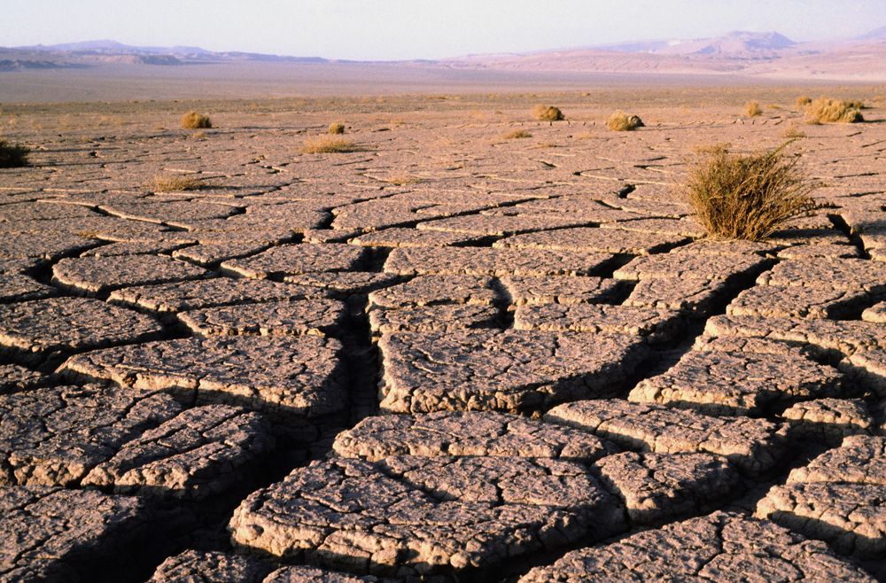 Cracks in the ground in the Atacama desert. 