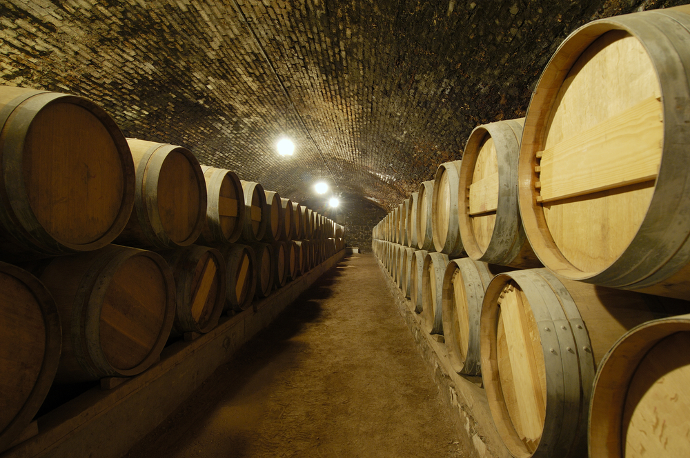 Wine Cellar of Casillero del Diablo wine, close to Santiago