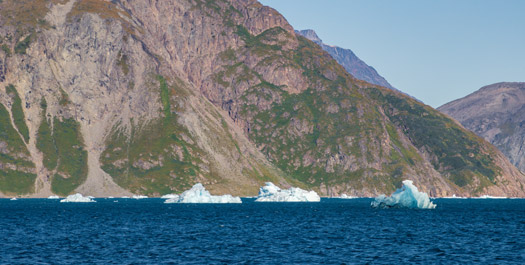 Expedition in depth - Day 2 to 9
