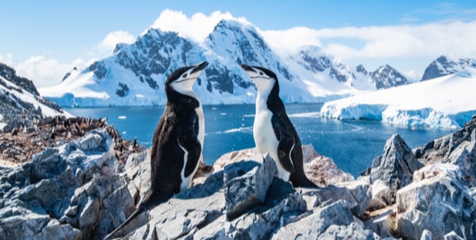 Crossing the Antarctic Circle - Day 8 to 11
