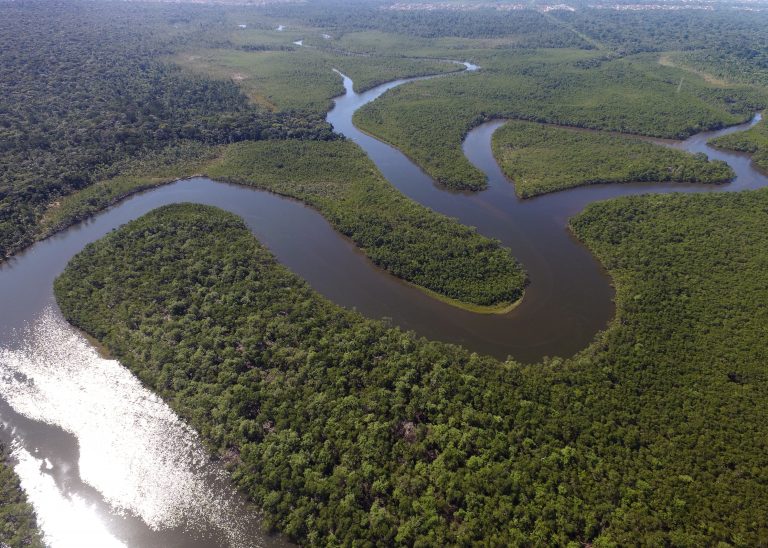 Top view of the Amazon river in Brazil with the rainforest