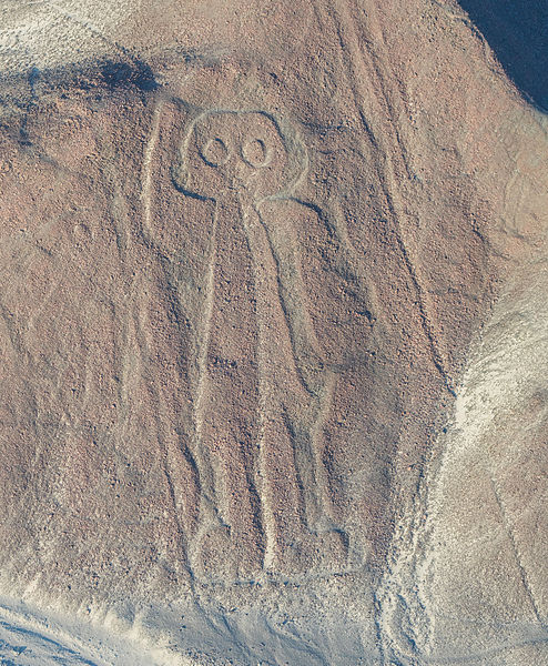 An Astronaut visible in the Nazca Lines. 