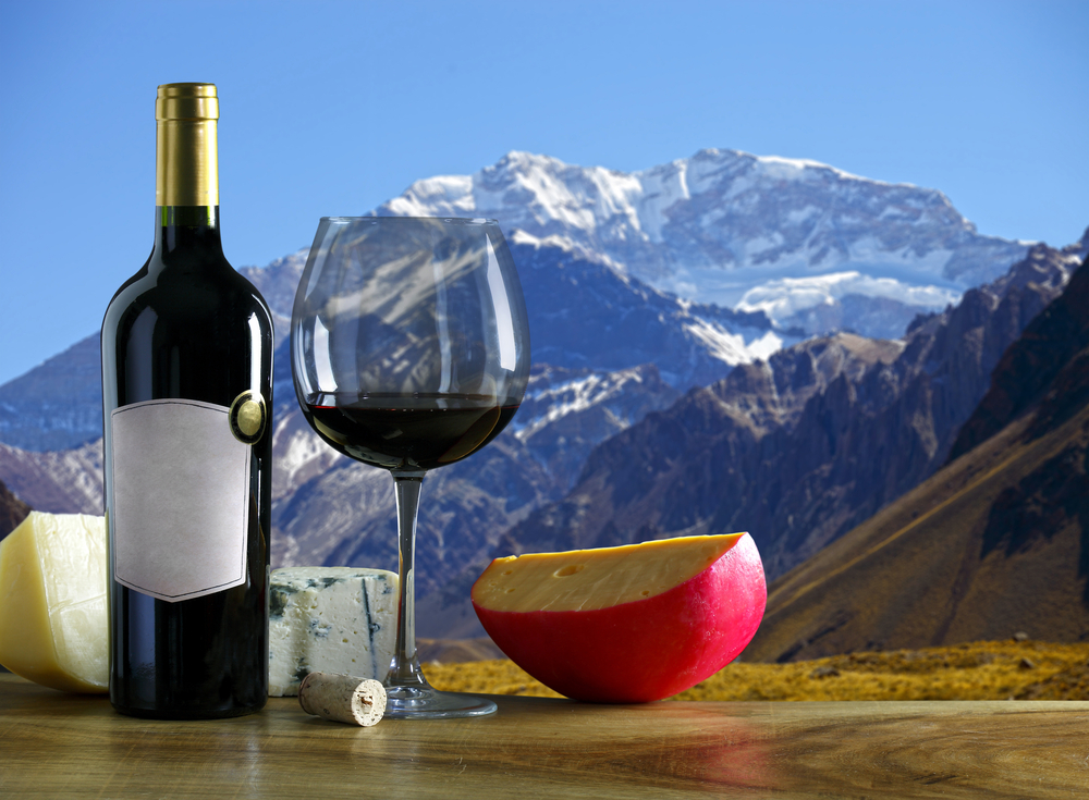 Mendoza, wine region of Argentina