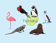 Wildlife of Floreana Island of the Galapagos Islands