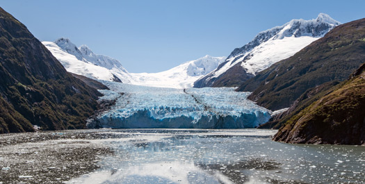 Eyre Fjord & Pio XI Glacier