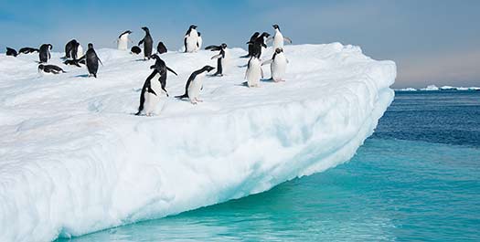 The Antarctic Peninsula - Days 4 - 9