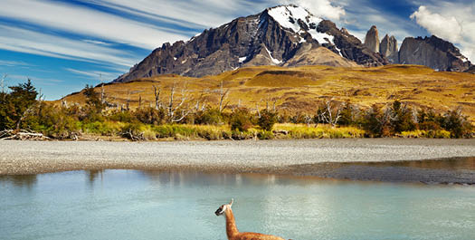 Arrive Explora Patagonia