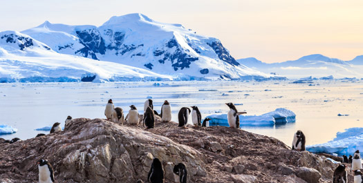 Antarctic Peninsula - Day 3 to 9