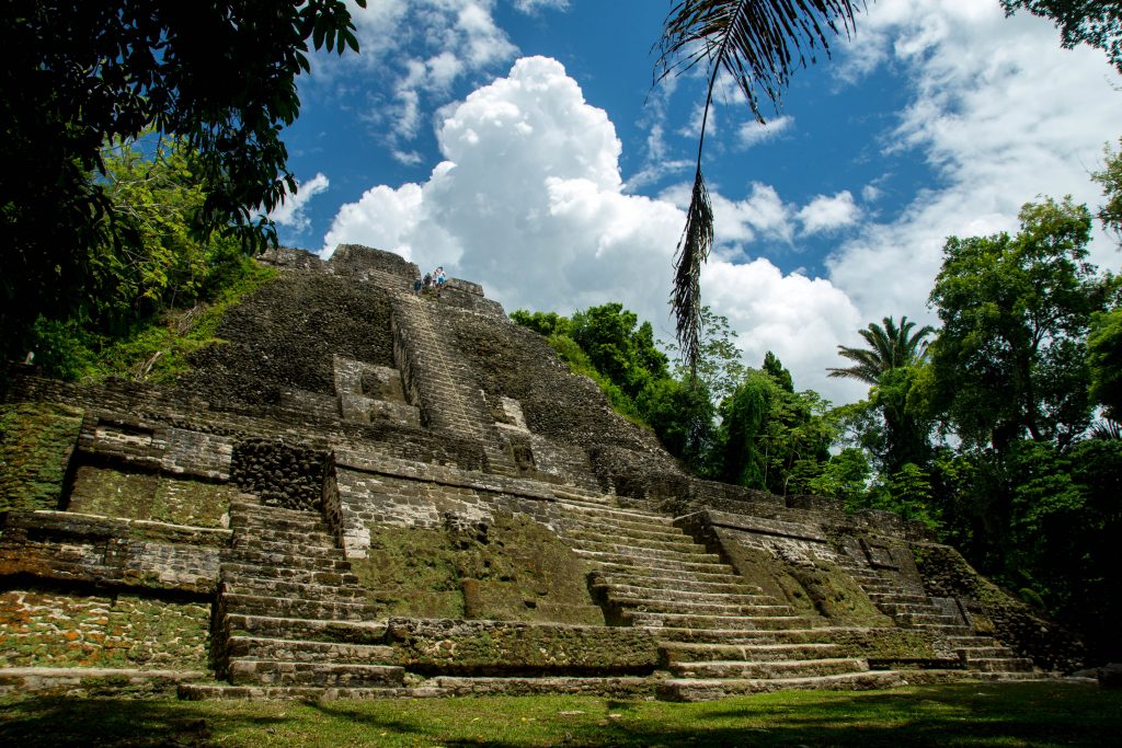ancient Maya ruin in forest
