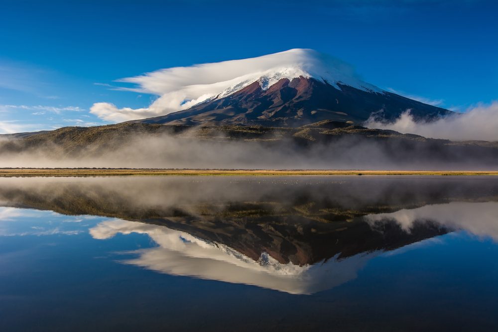 Cotopaxi National Park Visit & Return to Quito