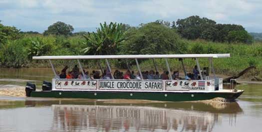 Crocodile Safari enroute to Manuel Antonio