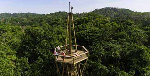 Panama Rainforest Discovery & Gatun Lake