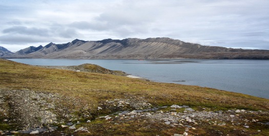 Inner Isfjord