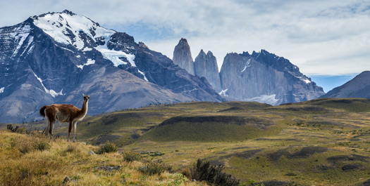 Patagonian Excursions