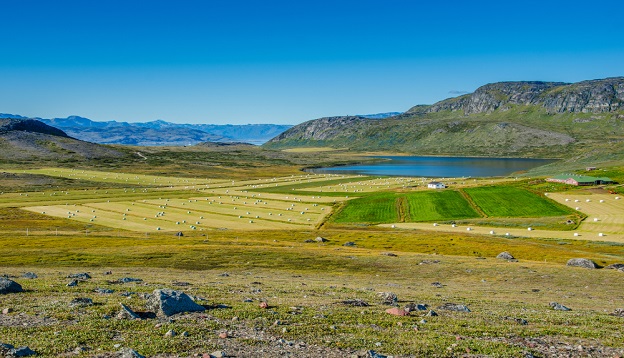 The land of a small village farm, Greenland.