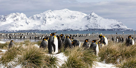 Western Falklands