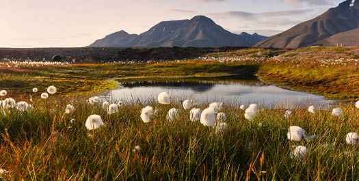 Disembarkation in Longyearbyen