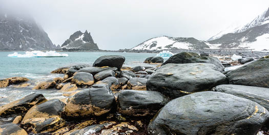 Elephant Island