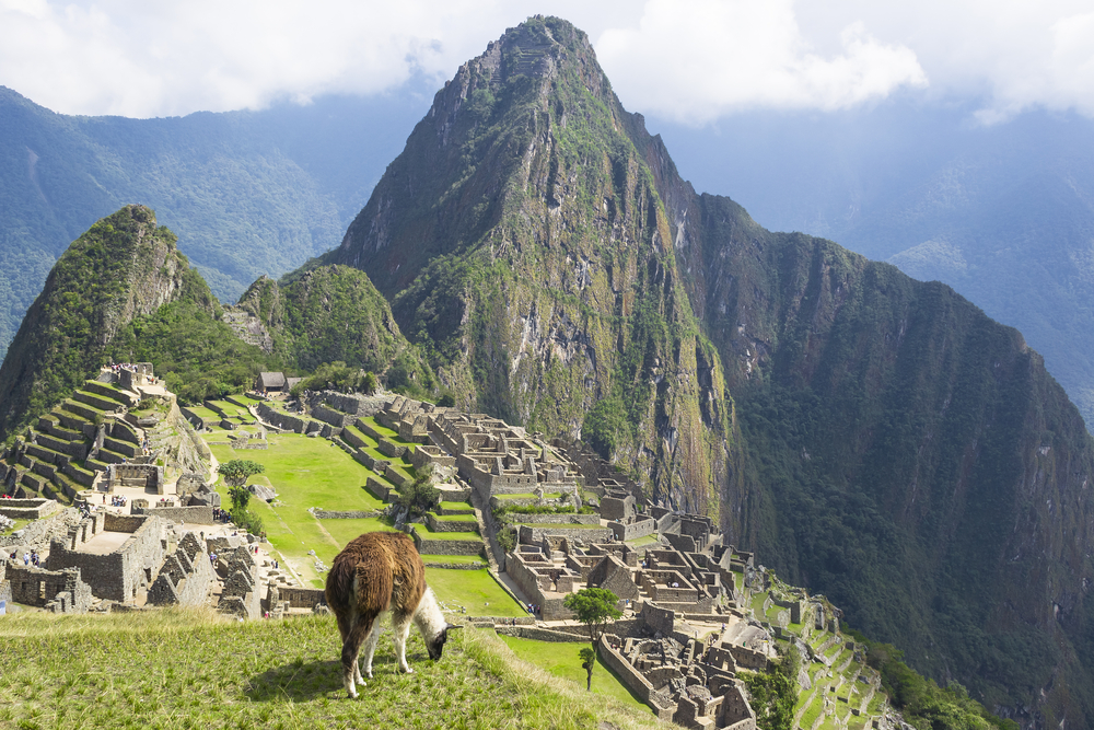 Guide to Machu Picchu: Llama foreground of Machu Picchu