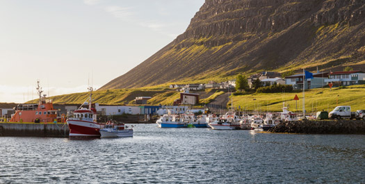 Patreksfjordur & Dynjandi