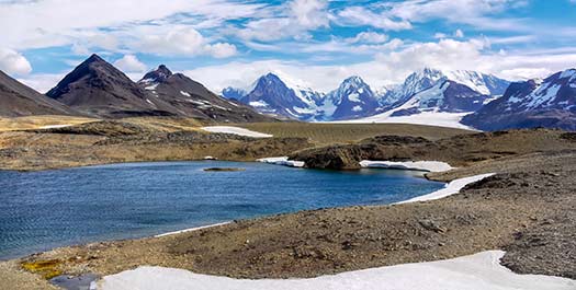 South Georgia Days 12-16