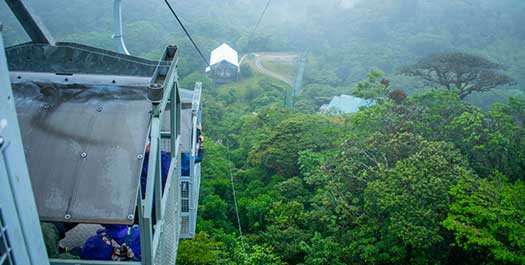 Monteverde Cloud Forest tour