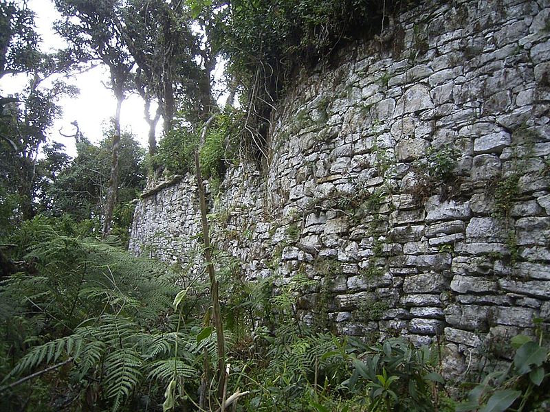 ruins in the rain forest