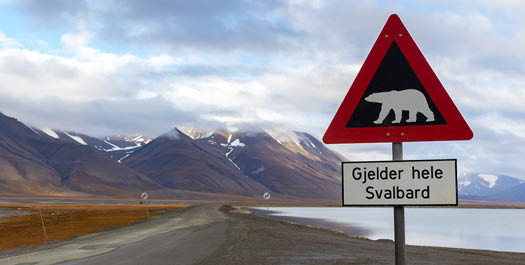 Arrive in Longyearbyen