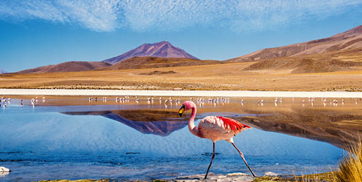 San Pedro de Atacama