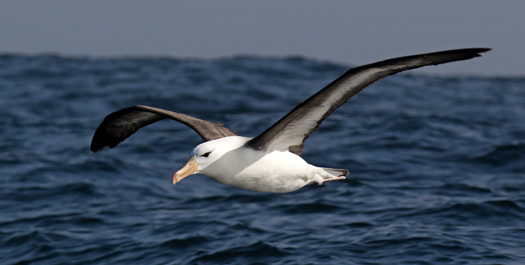 At Sea - Day 16 &amp; 17