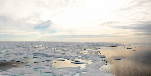 Exploring Sea Ice in Beaufort Sea