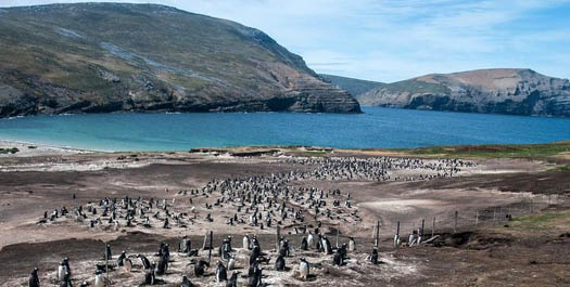 Great Austral Loop 25/26 | Le Austral |Antarctica Cruises & Tours