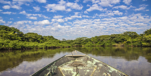 Pantanal day tour