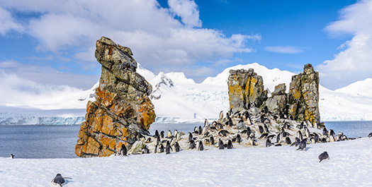 South Shetlands & Antarctica
