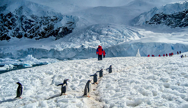 Transformative travel - people walking near penguins in ANtarctica