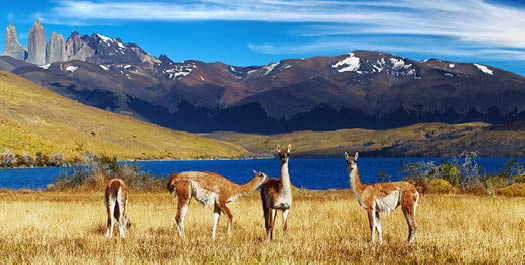 Depart Torres Del Paine National Park
