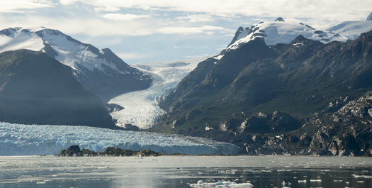 Peel Fjord & Brujo Glacier