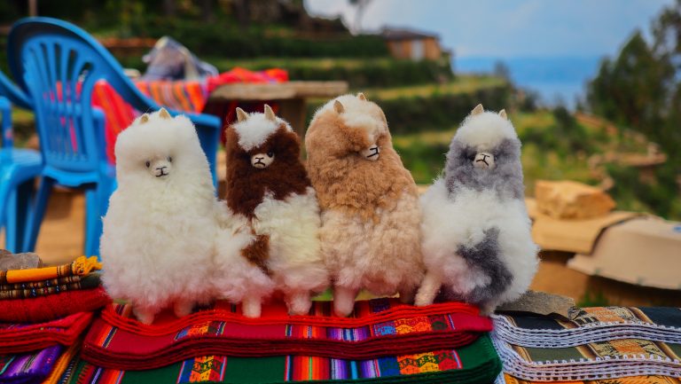 Handmade llama dolls is an affordable llama souvenir that tourist can find everywhere in Peru. credit shutterstock