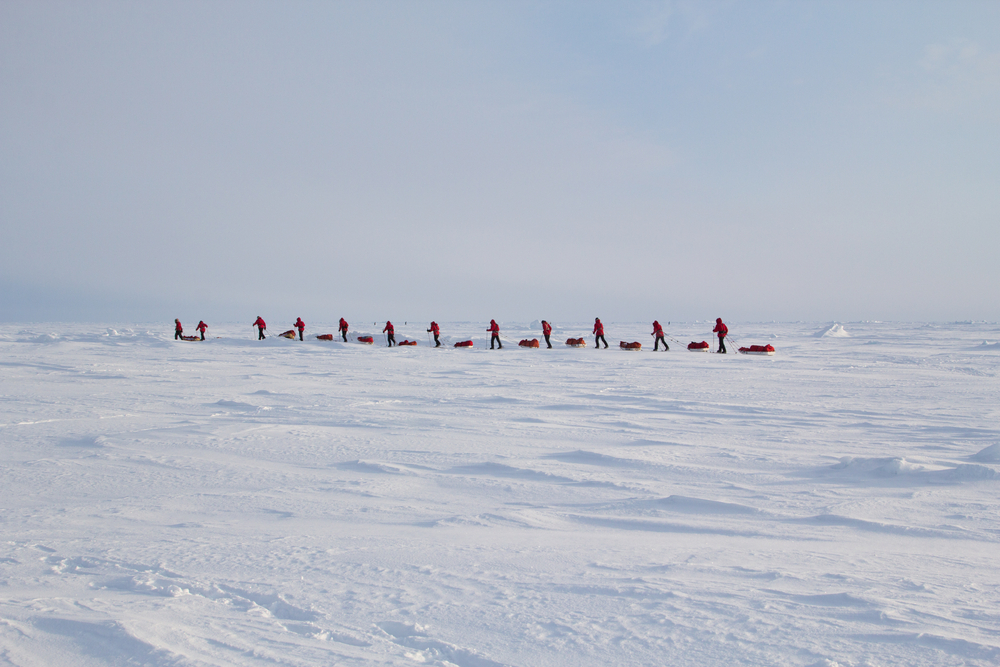 Skiers go to the North pole from Russian Barmeo Ice Camp