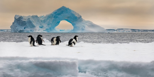 Exploring the Weddell Sea - Day 4 to 10