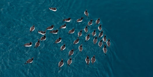 At Sea -  Day 9 to 11