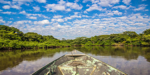 Pantanal day tour