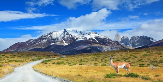 Puerto Natales to Torres del Paine