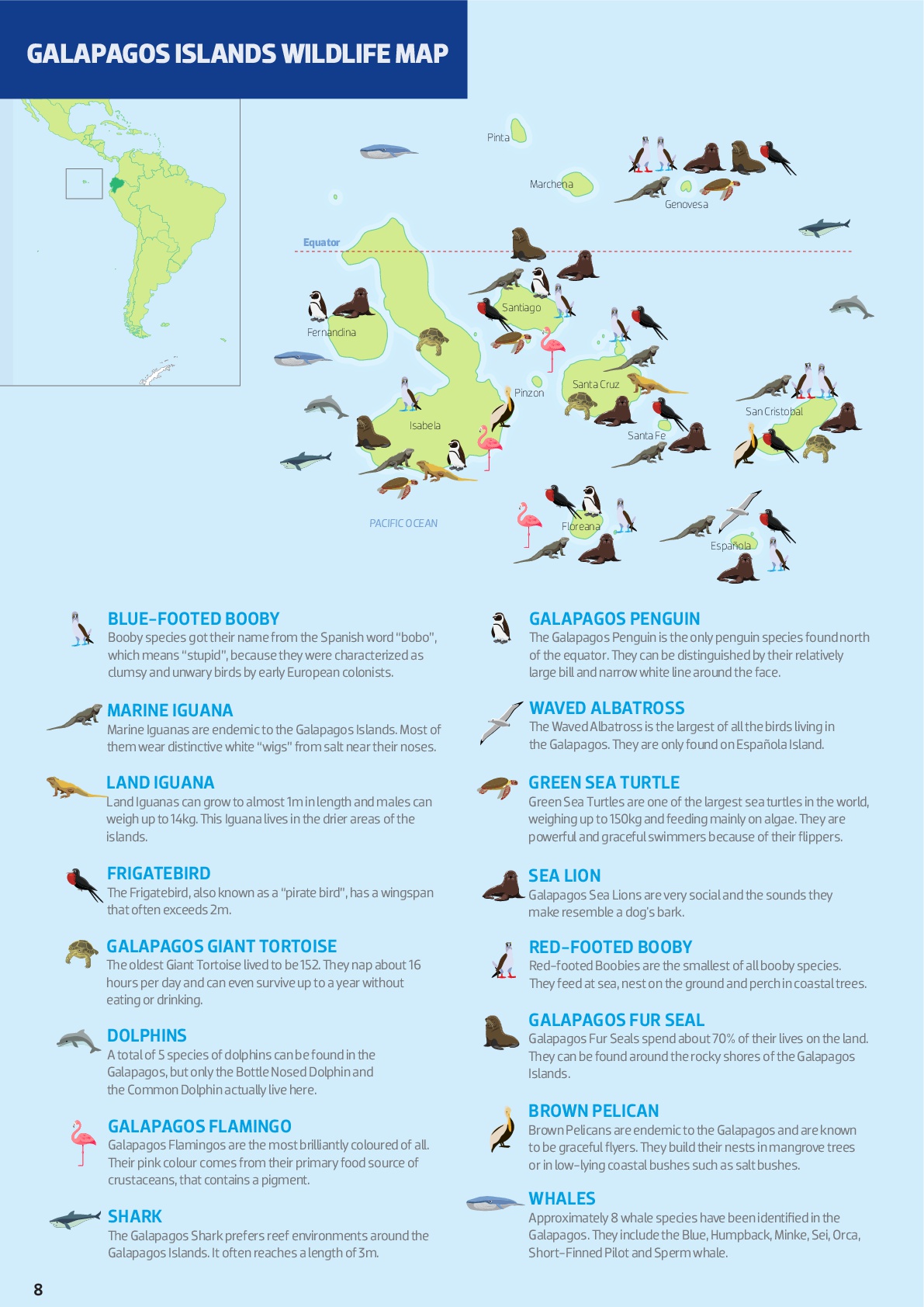 Where to find the wildlife in the Galapagos Islands