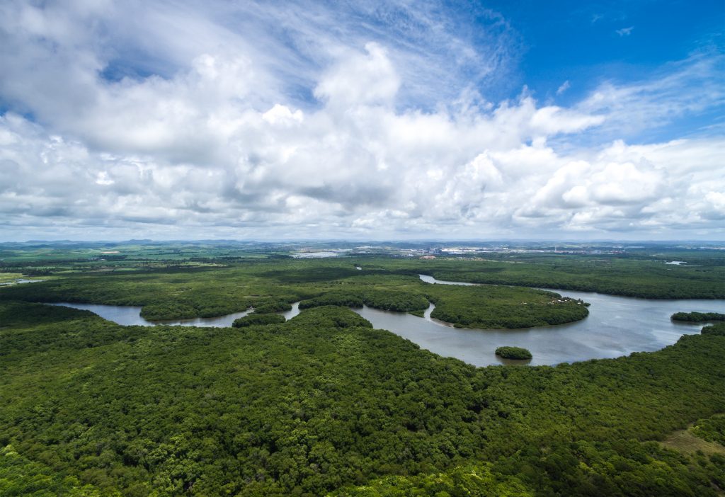 Aerial Shot of Amazon rainforest in Brazil, South America credit: Shutterstock